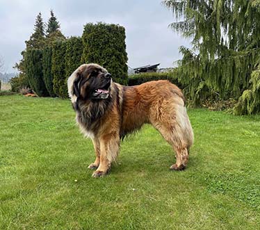Andy Leon Eperies - 3 years and 3 months