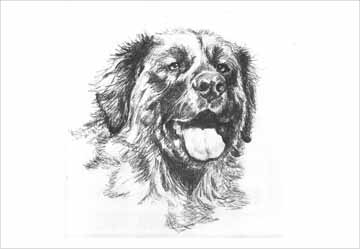 Leonberger Breeder’s Club