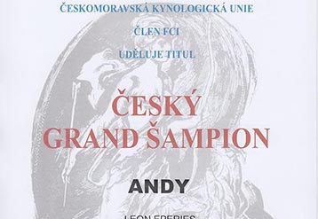 Český Grandšampion