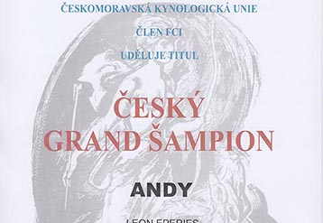 Czech Grandchampion