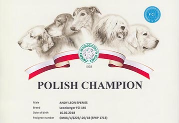 Polský šampion