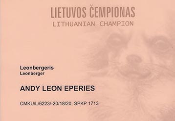 Champion of Lithuania