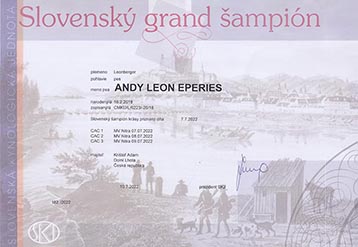 Andy became Slovak Grandchamp.