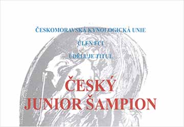 Český junior šampion