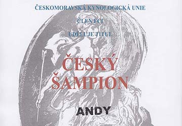 Český šampion