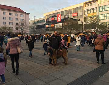 Andy Leon Eperies - Ostravské malé divy