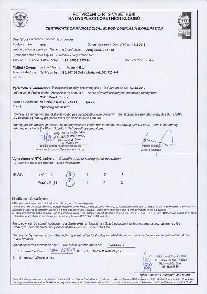 Andy Leon Eperies - Radiological ELBOW dysplasia examination - DLK - 0/0