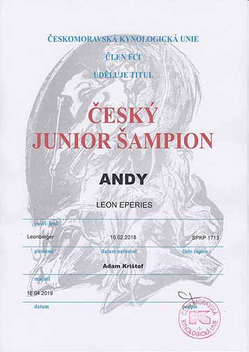 Český junior šampion