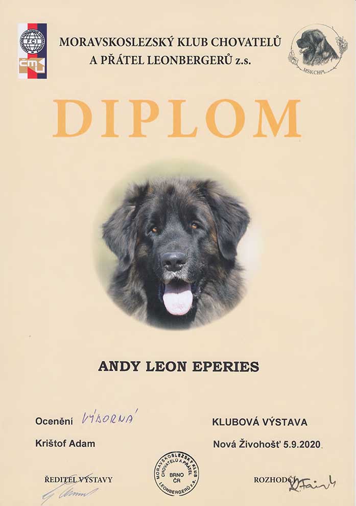 Andy Leon Eperies - Club Dog Show Leonberger Nová Živohošť 2020