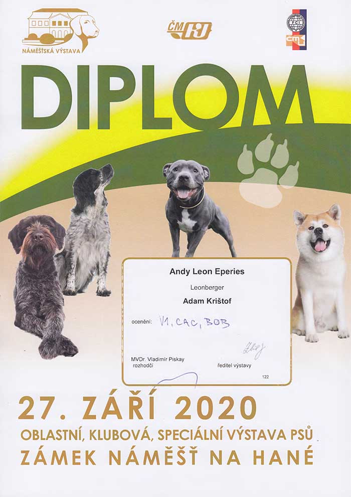Andy Leon Eperies - Special Leonberger Dog Show - Náměšť na Hané 2020