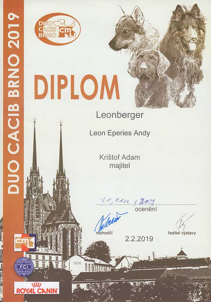 Andy Leon Eperies - DUO CACIB in Brno 2019