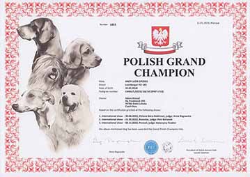 Polish Grand Champion