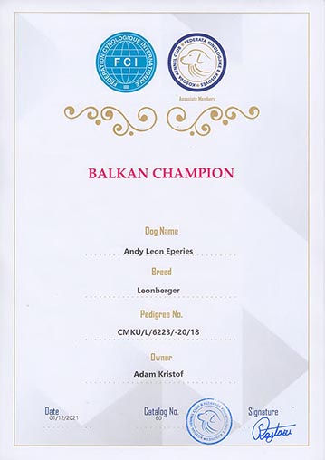 Balkan Champion