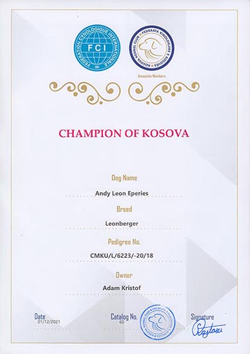 Champion of Kosova