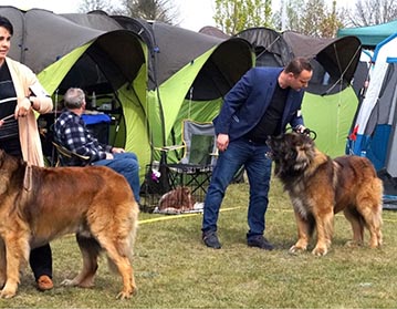 Andy Leon Eperies - International Dog Show Babimost 2022