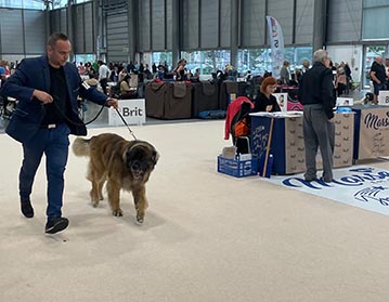 Andy Leon Eperies - International Dog Show Brnenka 2021