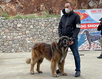 Andy Leon Eperies - Mezinárodní výstava psů CACIB Čanj 2021