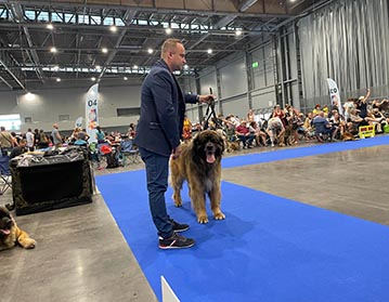 Andy Leon Eperies - Duo CACIB Brno 2021 - Saturday