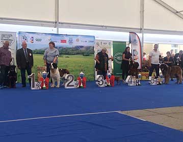 Andy Leon Eperies - Floracanis Olomouc National Dog Show 2020
