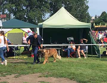 Andy Leon Eperies - International dog show - Interdog Bohemia - CACIB 2019