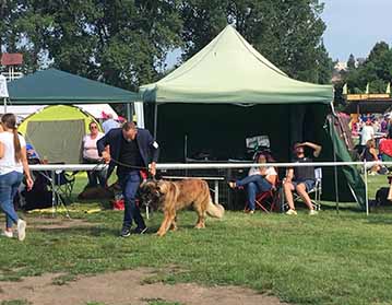 Andy Leon Eperies - MV Interdog Bohemia - CACIB 2019