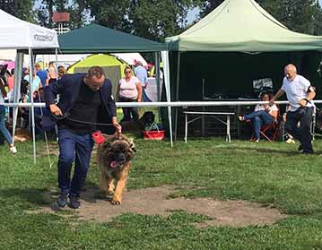 Andy Leon Eperies - International dog show - Interdog Bohemia - CACIB 2019