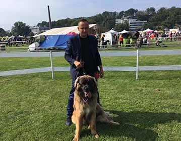 Andy Leon Eperies - International dog show - Interdog Bohemia - CACIB 2019