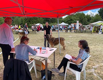 Andy Leon Eperies - Mezinárodní výstava psů Nitra Summer Cup 4x CACIB