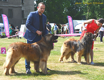 Andy Leon Eperies - XXXIX. International dog show - Opole