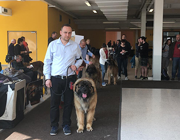 Andy Leon Eperies - 2019 National Dog Show in Ostrava