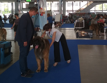 Andy Leon Eperies - National Dog Show Ostrava 2020