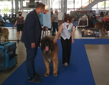 Andy Leon Eperies - National Dog Show Ostrava 2020