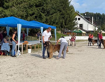 Andy Leon Eperies - Klubová výstava MSKCHPL - sobota