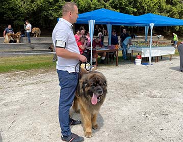 Andy Leon Eperies - Special Dog Show MSKCHPL 2021 - Podmitrov