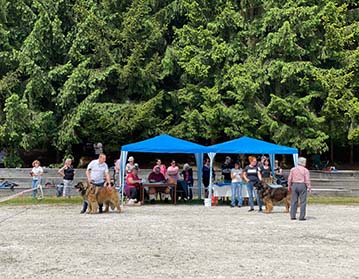 Andy Leon Eperies - Special Dog Show MSKCHPL 2021 - Podmitrov