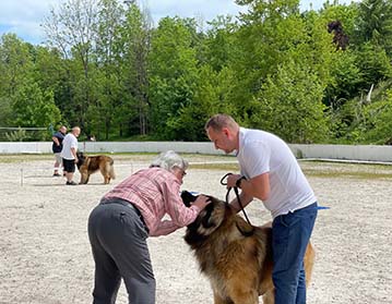 Andy Leon Eperies - Special Dog Show MSKCHPL 2021 - Podmitrov