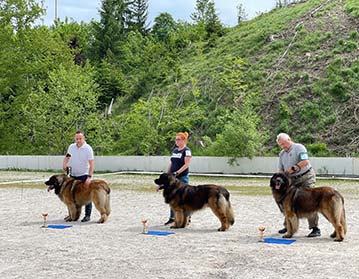 Andy Leon Eperies - Special Dog Show MSKCHPL 2021 - Podmitrov