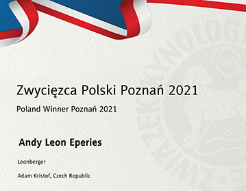 Andy Leon Eperies - Mezinárodní výstava psů Poznaň 2021 - neděle