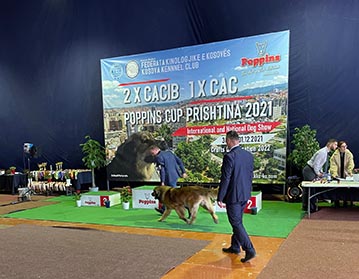 Andy Leon Eperies - 2x International and 1x National Dog Show CACIB Prishtina 2021 Poppins Cup