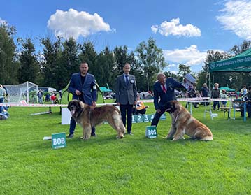 Andy Leon Eperies - II. International dog show - Rybník-Kamieň