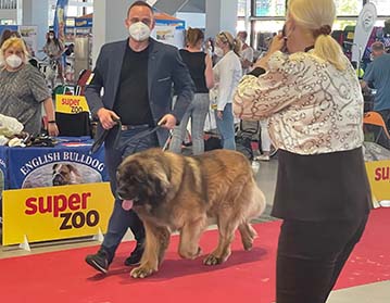 Andy Leon Eperies - International Dog Show Brno - Špilberka
