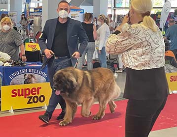 Andy Leon Eperies - Mezinárodní výstava psů Brno - Špilberka