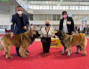 Andy Leon Eperies - International Dog Show Brno - Špilberka