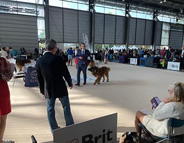 Andy Leon Eperies - World dog show 2021 - Brno