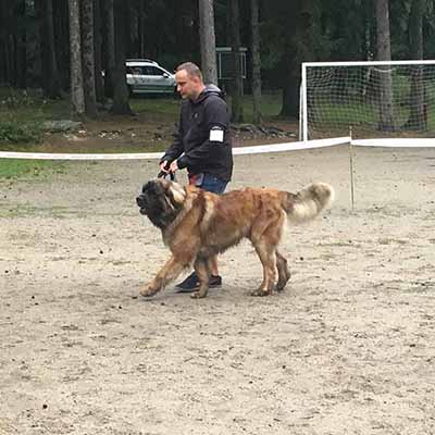 Special Dog Show - Zubří 