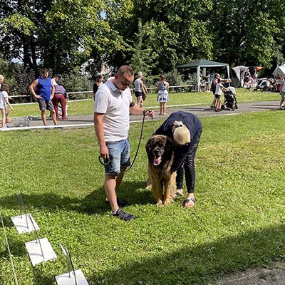 RDS all Breeds in Kelč