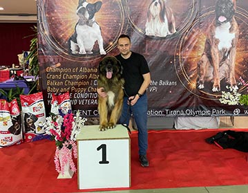 Andy Leon Eperies - 2x Mezinárodní a 2x národní výstava psů President Cup 2021 - Tirana